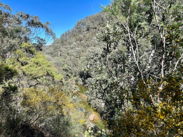 Florabella Pass View of Glenbrook Creek