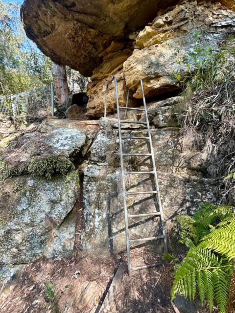 Forty Foot Falls Ladder