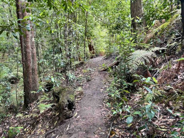 Horseshoe Falls Walking Track