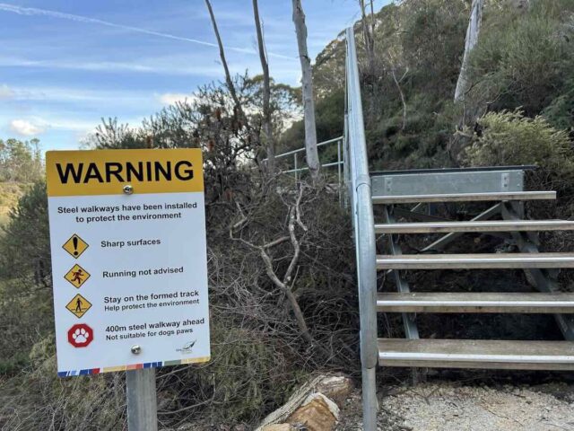Metal Mesh Boardwalk Along Darwins Walk