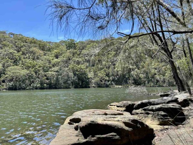 Two Creeks Track Next to Water