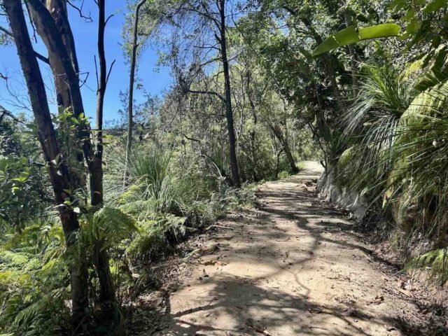 Two Creeks Track Surface