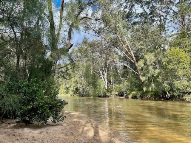Beaches Along Forbes Creek