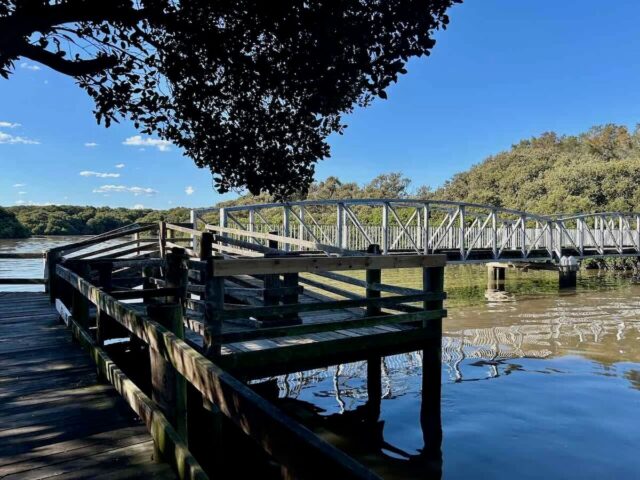 Bridge over Salt Pan Creek