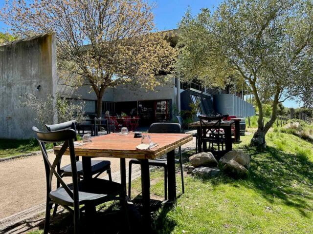 Dog-Friendly Dining at Lerida Estate