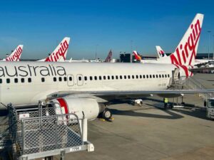 Flying To or From Melbourne Airport with a Pet