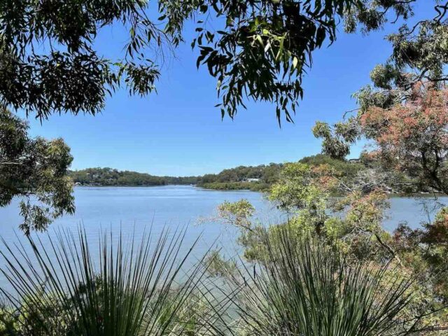 Headland Track Vista