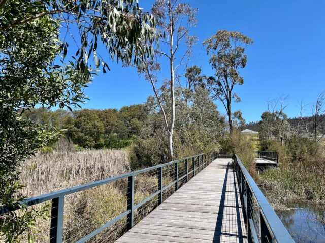 Lake Pillans Boardwalk