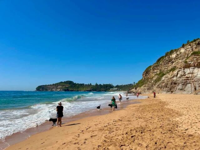 Mona Vale South Dog Beach