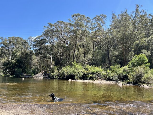 The Needles Engadine