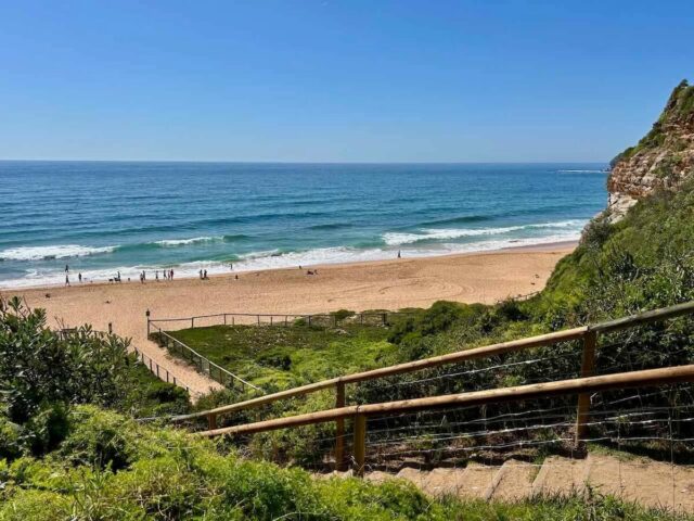 Mona Vale South Beach View