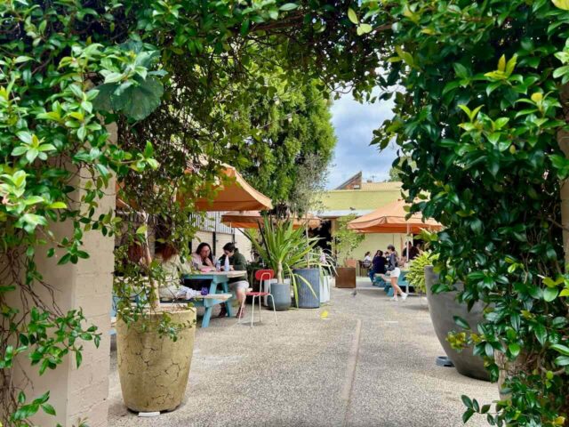 Public House Petersham Backyard