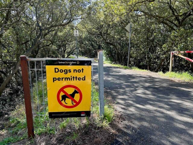 Bicentennial Park Mangrove Path No Dogs
