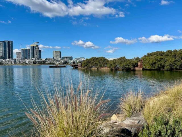 SS Ayrfield Wreck Homebush Bay