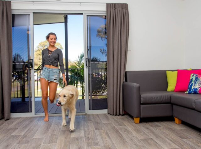 Big4 Gold Coast Dog-Friendly Cabin