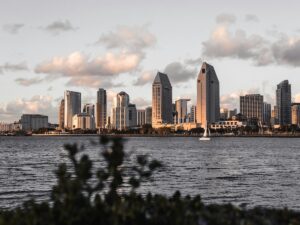 Dog-Friendly San Diego