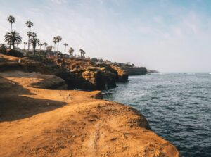 Dog-Friendly San Diego