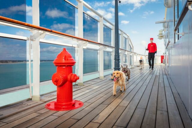 Queen Mary 2 Kennels