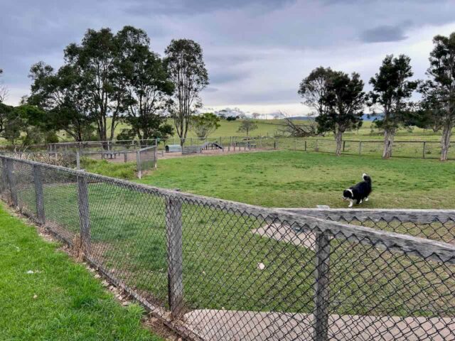 Milton Showground Fenced Dog Park