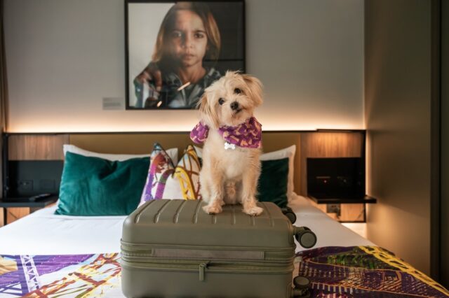 Crystalbrook Vincent Sit Stay Sleepover