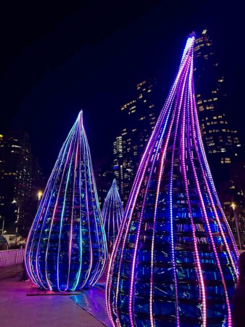 Vivid Light Walk Barangaroo
