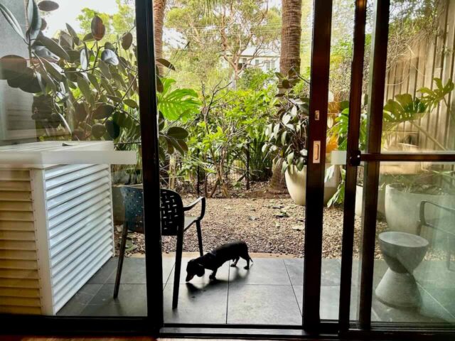 Bannisters Room Courtyard