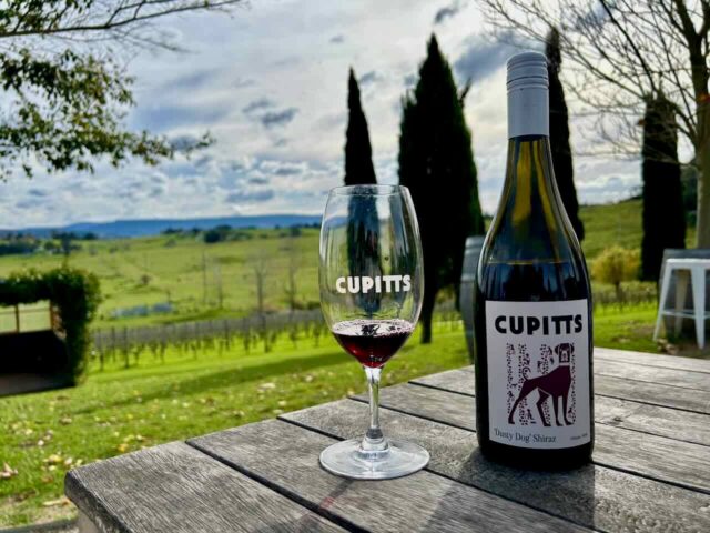 Cupitts Estate Wine Tasting
